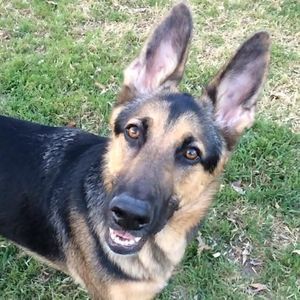 Meet your Posher, Melanie